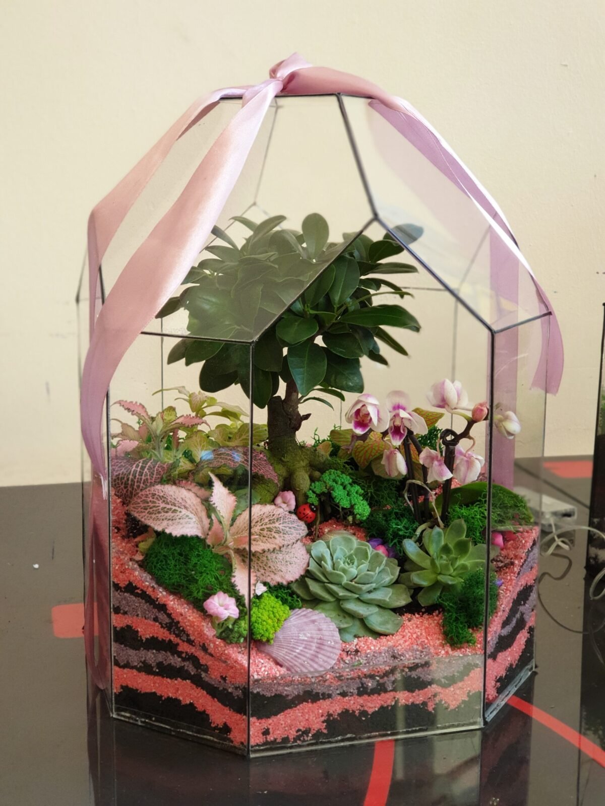 Müştəri təşəkkürü üçün verilən Terrarium Korporativ Hədiyyə – Zərif və yaradıcı