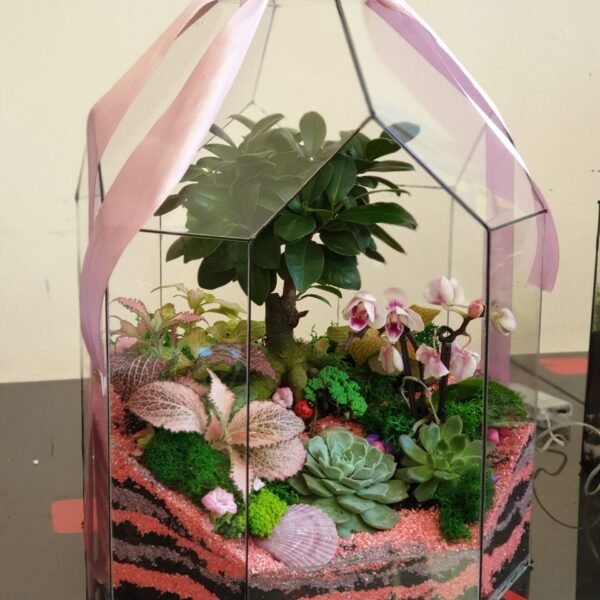 Müştəri təşəkkürü üçün verilən Terrarium Korporativ Hədiyyə – Zərif və yaradıcı