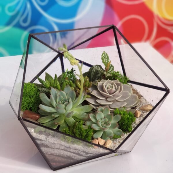 Korporativ tədbir üçün nəzərdə tutulan Terrarium Korporativ Hədiyyə – İş mühiti üçün mükəmməl