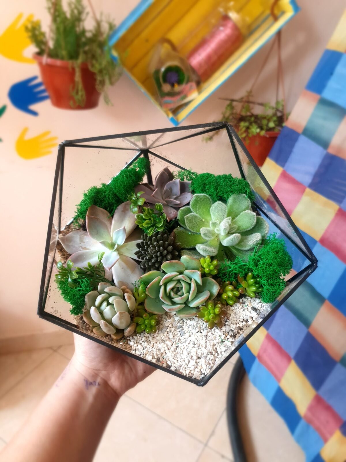 Şirkət əməkdaşlarına verilən unikal Terrarium Korporativ Hədiyyə – Yaradıcı və funksional