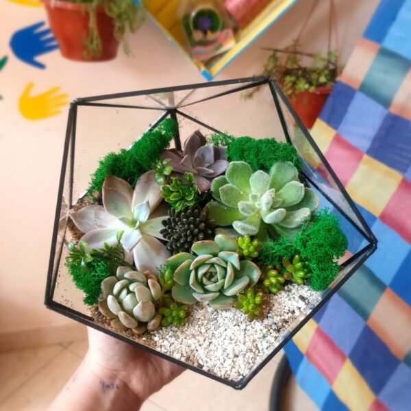 Şirkət əməkdaşlarına verilən unikal Terrarium Korporativ Hədiyyə – Yaradıcı və funksional