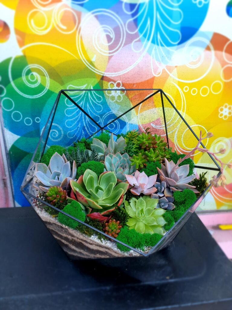 Korporativ müştərilər üçün mükəmməl Terrarium Korporativ Hədiyyə