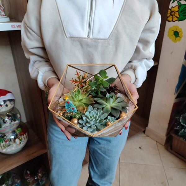 Müştəri razılığı üçün mükəmməl Terrarium Korporativ Hədiyyə – Fərdi təqdimatlar