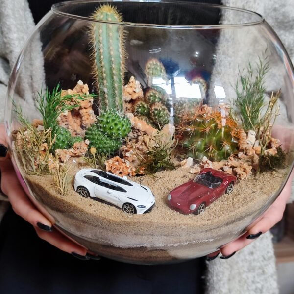 İş yerində istifadə üçün mükəmməl dekorativ Terrarium Korporativ Hədiyyə