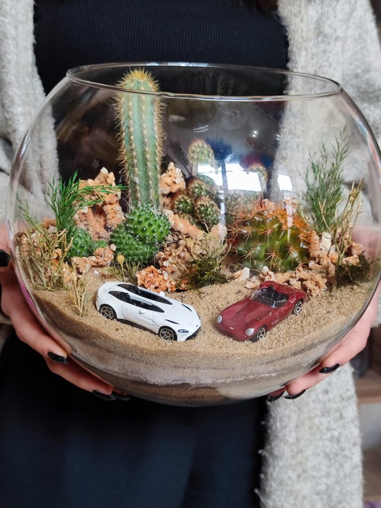 İş yerində istifadə üçün mükəmməl dekorativ Terrarium Korporativ Hədiyyə