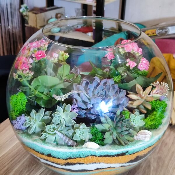 Təbii bitkilərlə bəzədilmiş Terrarium Korporativ Hədiyyə – Şirkət müştəriləri üçün