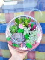 İş mühitində istifadə üçün ideal Terrarium Korporativ Hədiyyə – Zərif və yaradıcı hədiyyə