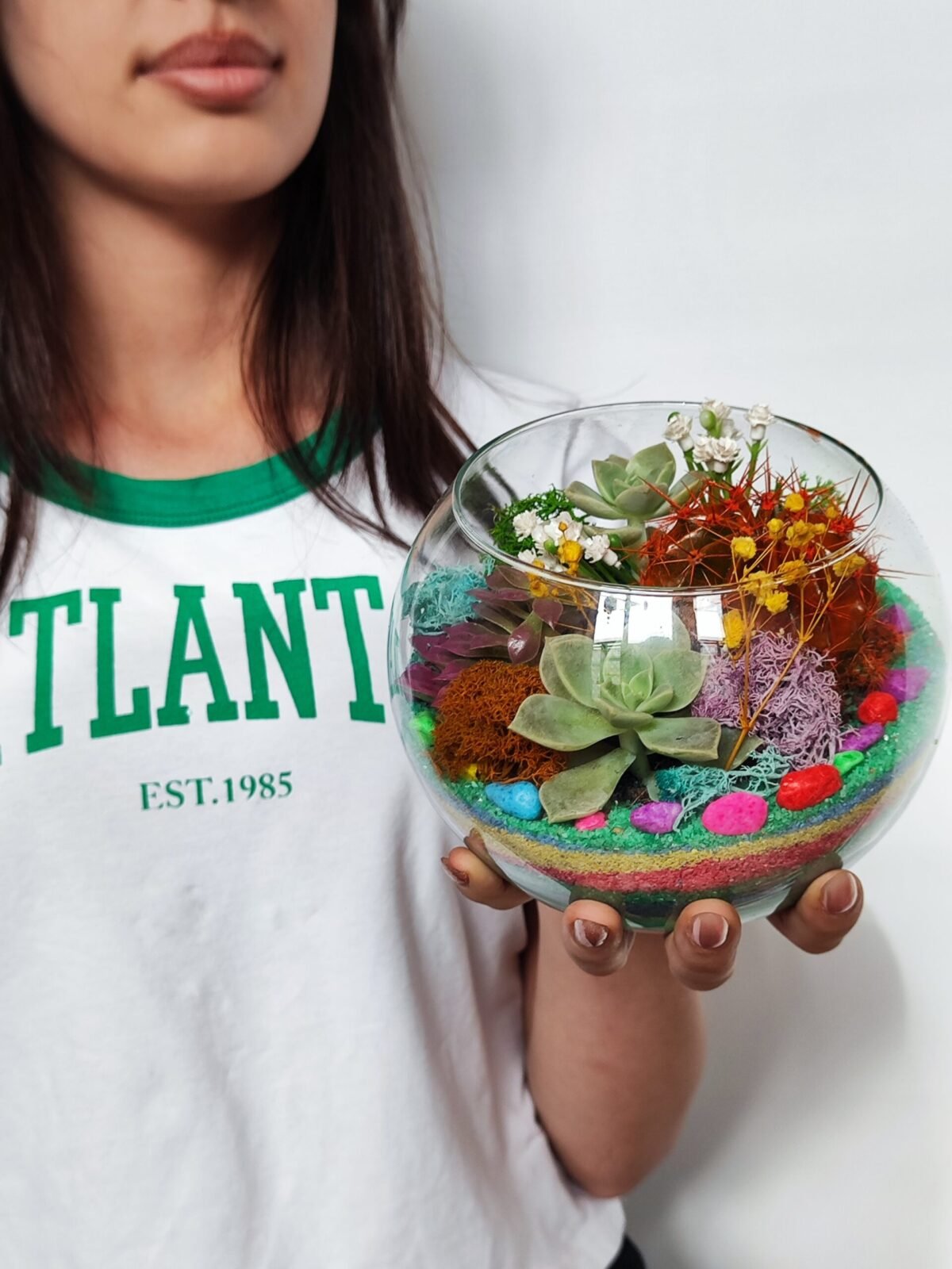 korporativ hədiyyə üçün İdeal Terarium