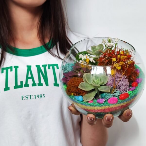 korporativ hədiyyə üçün İdeal Terarium