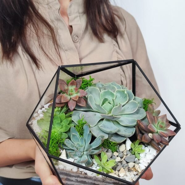 Təbiətə yaxın bir hədiyyə – Terrarium Korporativ Hədiyyə ilə iş mühitinizi bəzəyin