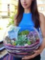 Korporativ tədbirlərdə təqdim edilən Terrarium Korporativ Hədiyyə – Yaradıcı və zərif