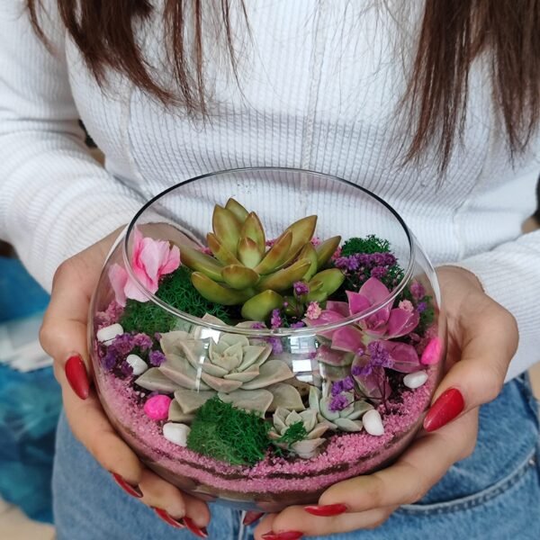Ofis mühitinə uyğun terrarium hədiyyəsi