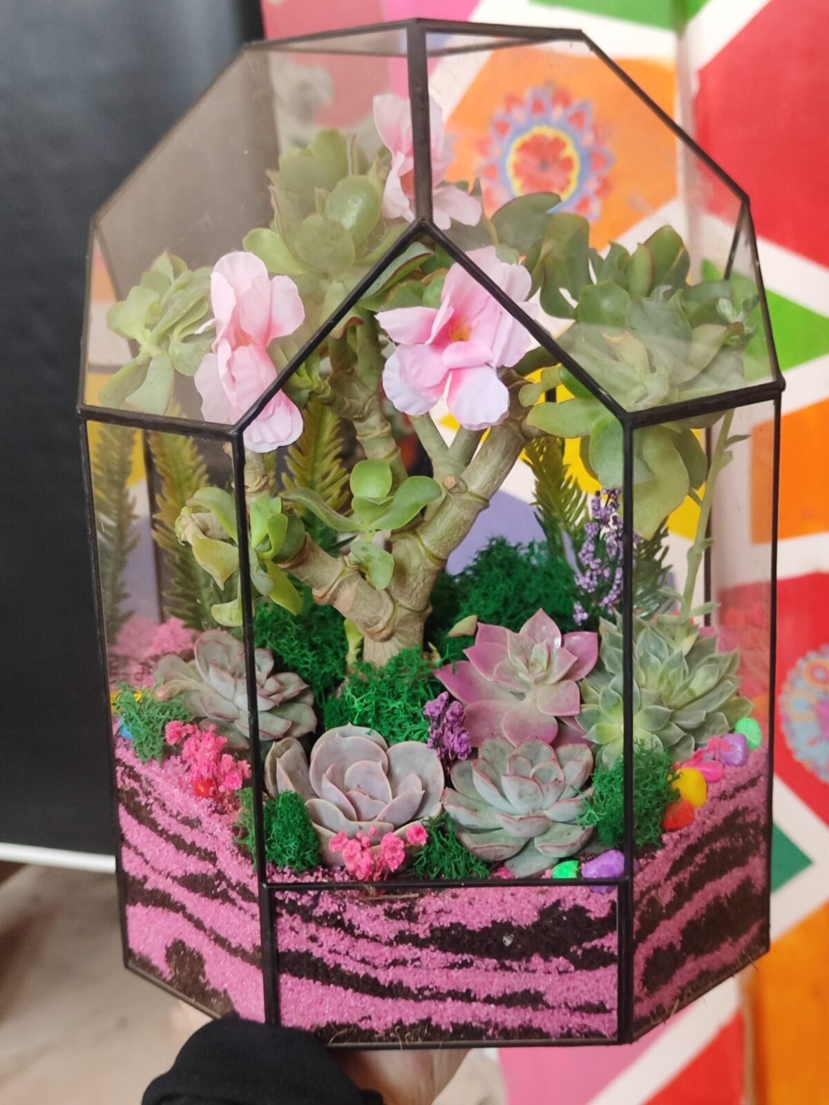 Korporativ tədbir üçün nəzərdə tutulmuş Terrarium Korporativ Hədiyyə