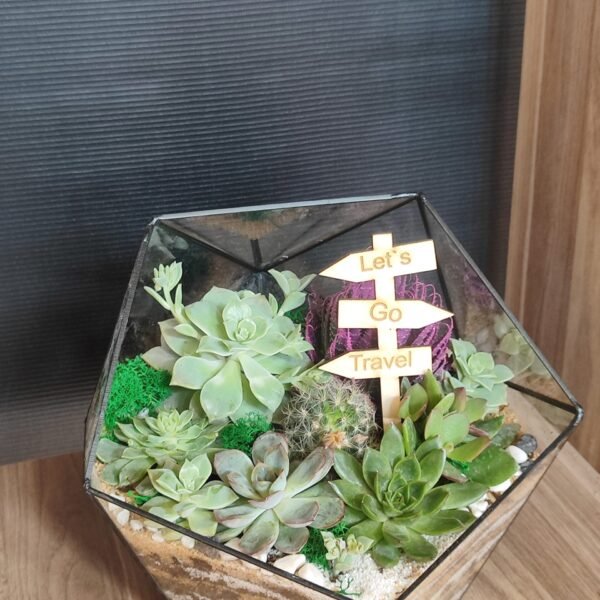 Müştərilər üçün xüsusi hazırlanmış Terrarium Korporativ Hədiyyə – Zərif və təbii