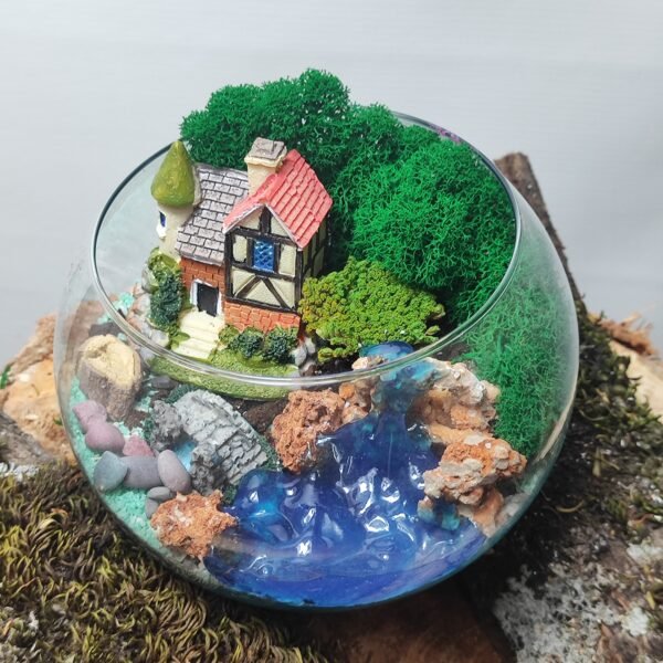 Fərqli bitkilərlə doldurulmuş terrarium