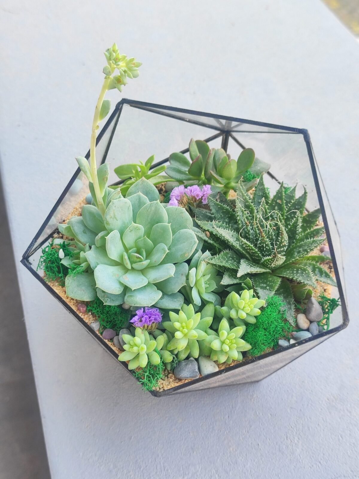 Şirkət təbrikləri üçün ən yaxşı hədiyyə – Terrarium Korporativ Hədiyyə ilə xüsusi təqdimatlar