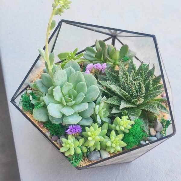 Şirkət təbrikləri üçün ən yaxşı hədiyyə – Terrarium Korporativ Hədiyyə ilə xüsusi təqdimatlar