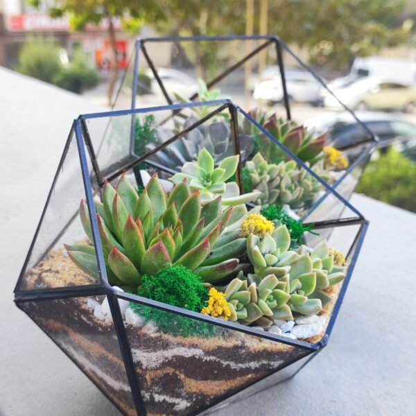 Təbrik və təşəkkürlər üçün ideal Terrarium Korporativ Hədiyyə – Hər müştəri üçün