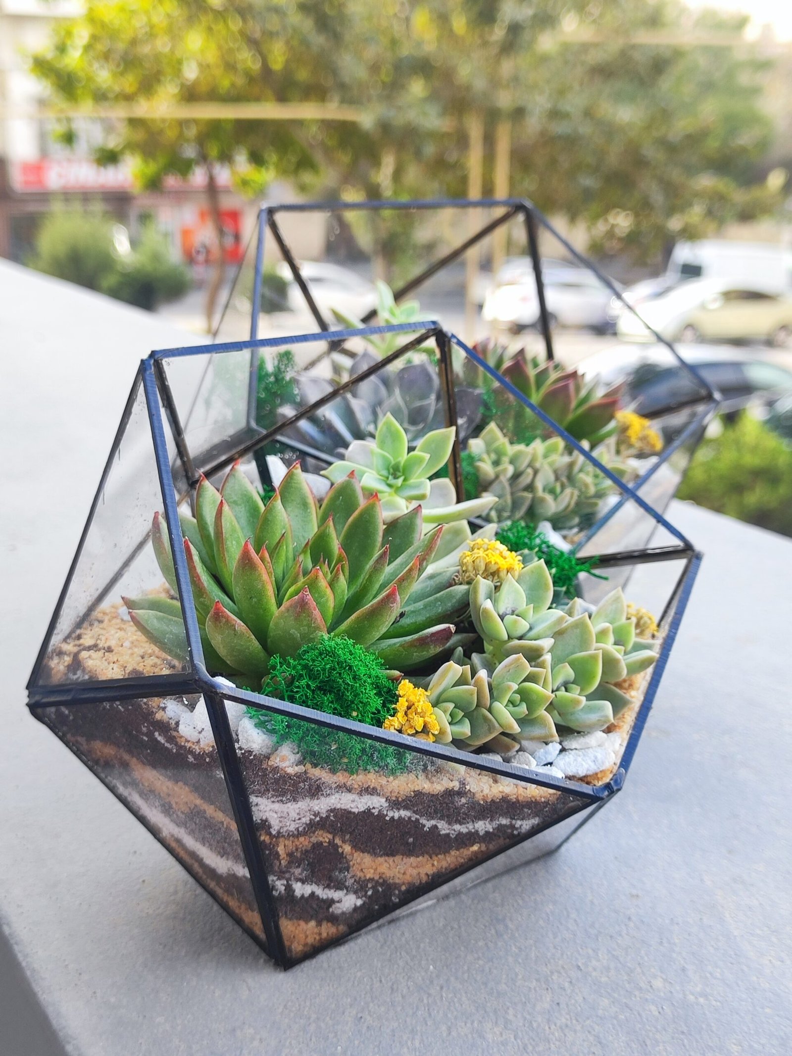 Təbrik və təşəkkürlər üçün ideal Terrarium Korporativ Hədiyyə – Hər müştəri üçün