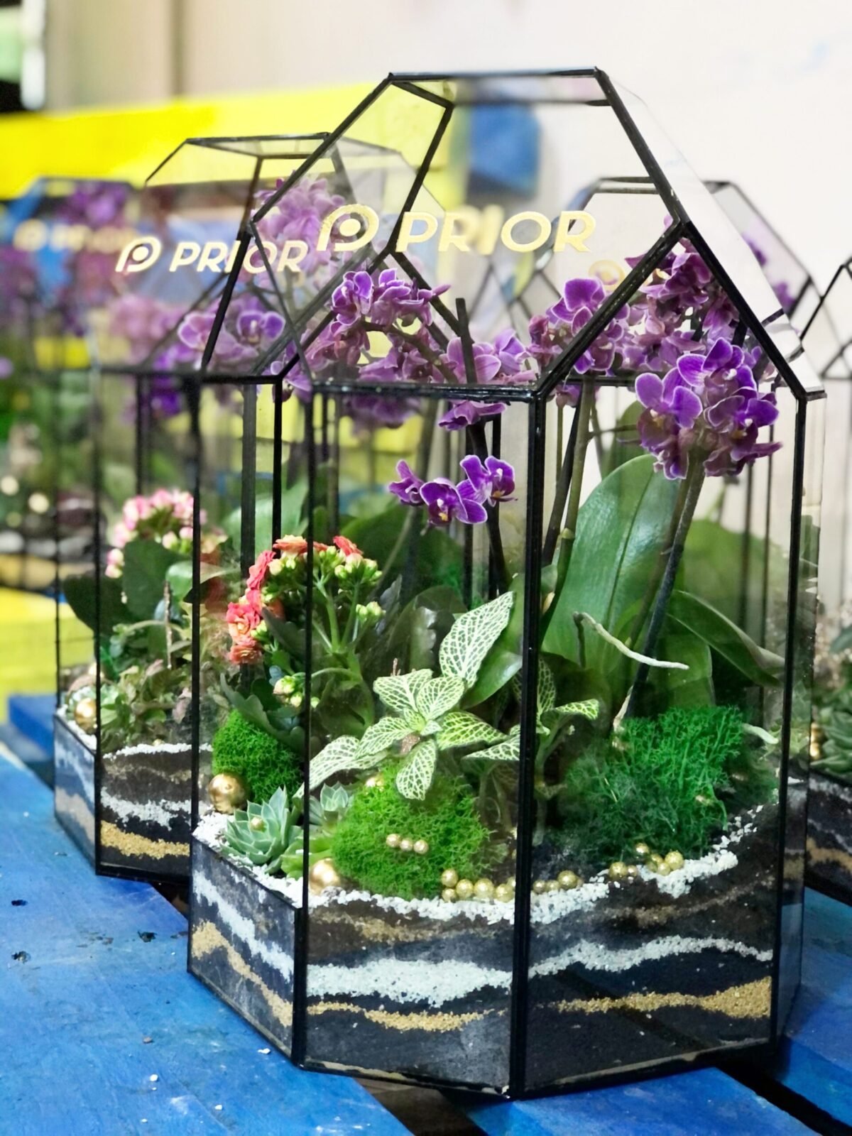 Şirkət işçilərinə təqdim edilən dekorativ Terrarium Korporativ Hədiyyə