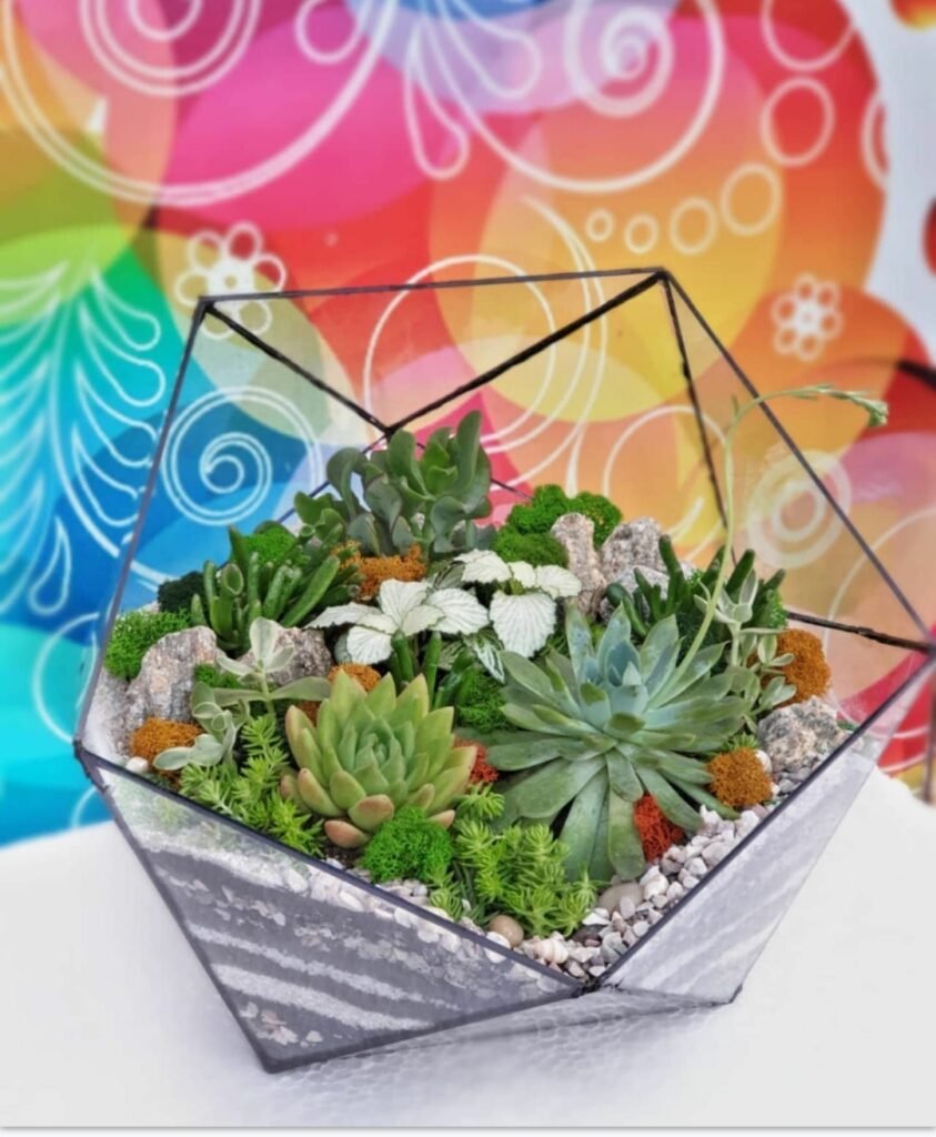 Müştərilərə verilən orijinal Terrarium Korporativ Hədiyyə