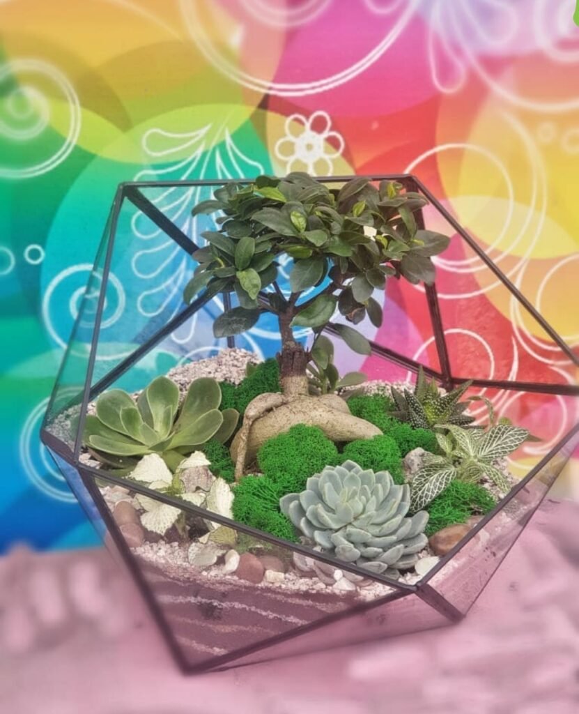 İş yerində təbii atmosfer üçün ideal Terrarium Korporativ Hədiyyə